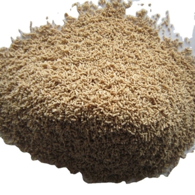 1kg ホットドライスープ 500g*2/1Kg ホンダシ フィリピン製