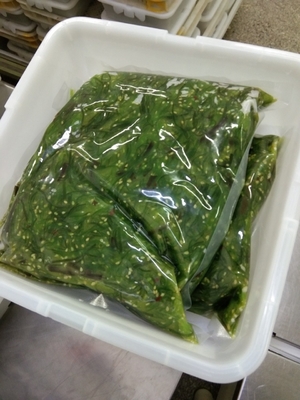 1kg ヒヤシ・ワカメ・スタイル 冷凍 チュカ・ワカメ 海藻サラダ 日本 凍結式