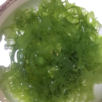 凍った乾燥海藻 トサカ 赤緑色 調味料 調味料
