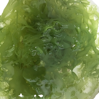 凍った乾燥海藻 トサカ 赤緑色 調味料 調味料