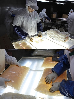 白いプラスチック網の乾燥ヌードル 保存期間12ヶ月 普通の水用ヌードル