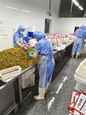 1kg 美味しい新鮮漬け シバズケ グリーン漬けペッパー 本物の日本味