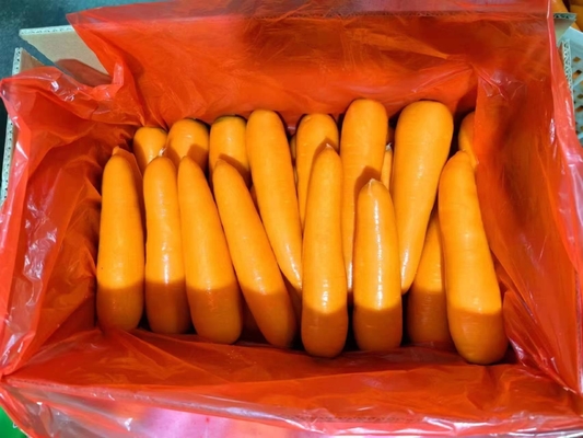 4KG 天然のガロロ 新鮮な野菜 ウンベリーフルーツ 野菜なし