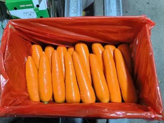 4KG 天然のガロロ 新鮮な野菜 ウンベリーフルーツ 野菜なし