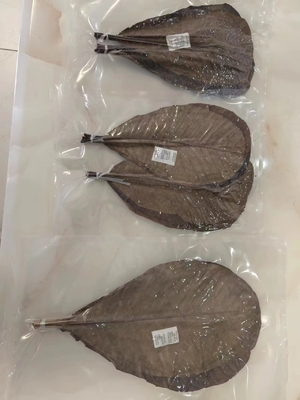 新鮮で天然の竹の葉巻の包みで寿司を仕える 住所不要