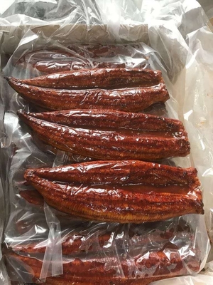 凍結した焼いたウナギイール 完璧な食材