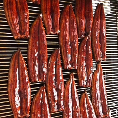 凍結した焼いたウナギイール 完璧な食材