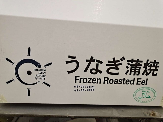 凍結した焼いたウナギイール 完璧な食材