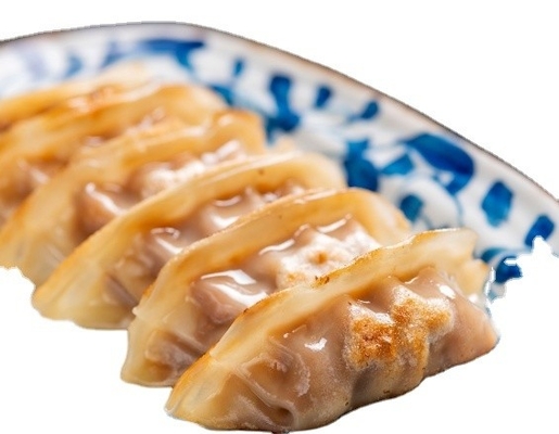 1kg 冷凍パンフレット グヨーザ シュリップ チキン アヒル 野菜 グヨーザ 美味しい甘い味