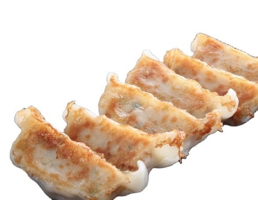 1kg 冷凍パンフレット グヨーザ シュリップ チキン アヒル 野菜 グヨーザ 美味しい甘い味
