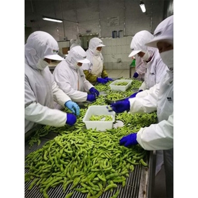 凍結したエダマメ豆 卸売 保存種類 凍結 10kg重量