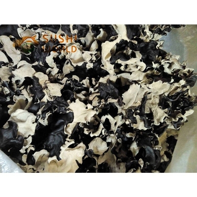 冷凍乾燥保存タイプ オーガニック 乾燥黒真菌 大量 4-5CM インドとモロッコから