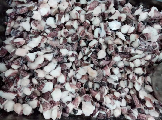 凍った切片のオクトポス TAKO I.Q.F 福建から 美味しく便利
