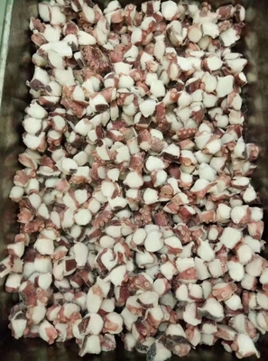 凍った切片のオクトポス TAKO I.Q.F 福建から 美味しく便利