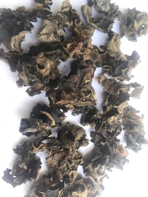 産地 栽培 乾燥 切片 ブラック AGARIC 菌類 保存期間 24ヶ月
